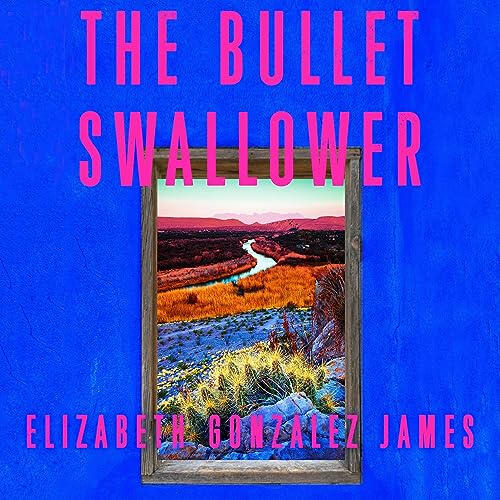 ANFA COLLECTIVE | 'the bullet swallower' book review