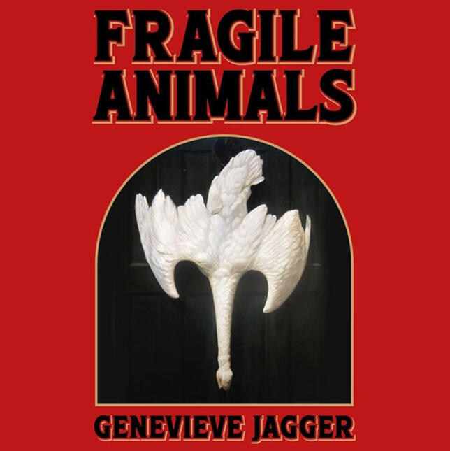 anfa collective | 'fragile animals' book review