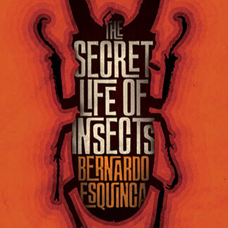 anfa collective | 'the secret life of insects' review